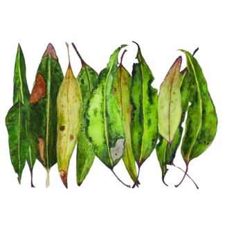 Product alt image 2