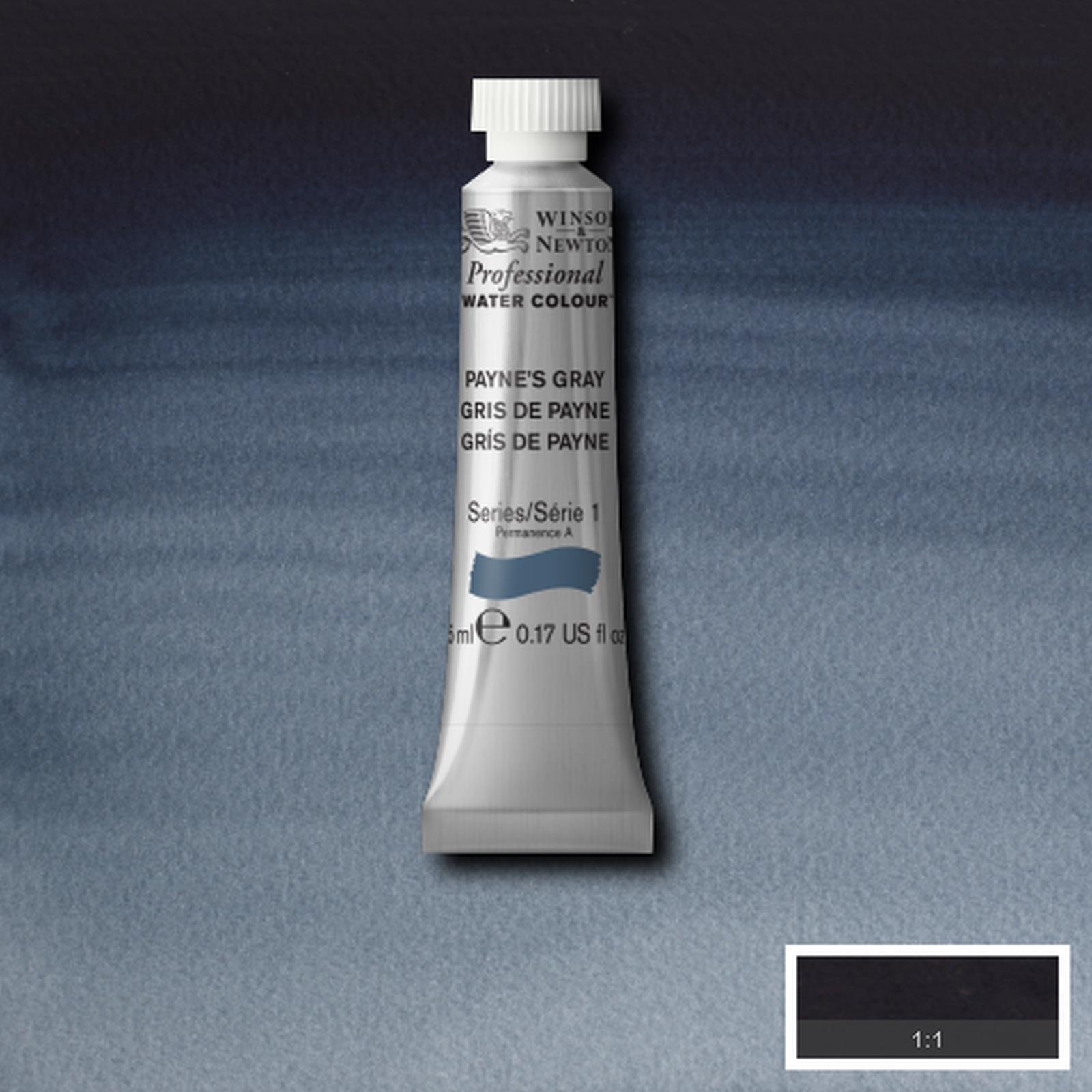 Professional Watercolour - Payne's Gray, 5ml