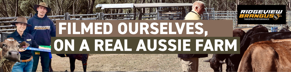 	Aussie August bush photoshoot at Ridgeview Brangus, Murphy's Creek QLD