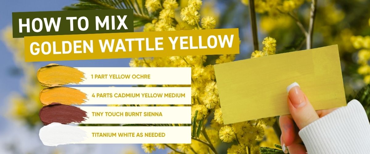 How to mix Golden Wattle Yellow paint swatch held against wattle blossom
