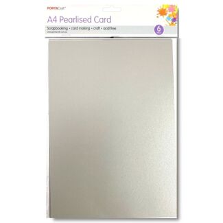 Pearlised Card A4 6pc - Silver