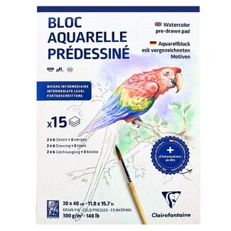 Clairefontaine Watercolour Learning Pad 30 x 40cm - Animals