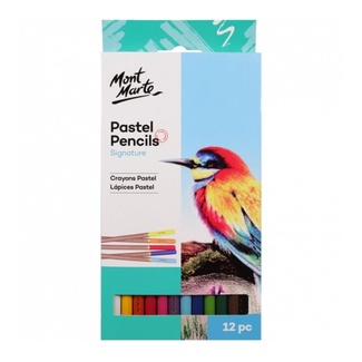 Coloured Charcoal Pencil Set 12 piece - Mont Marte - Crafty Arts