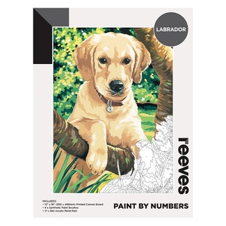 Reeves Artist Acrylic Paint by Numbers - Labrador Dog