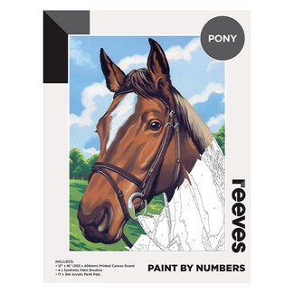 Reeves Artist Acrylic Paint by Numbers - Pony