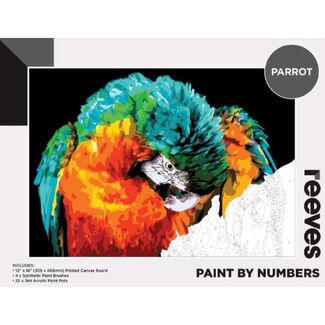Reeves Artist Acrylic Paint by Numbers - Parrot