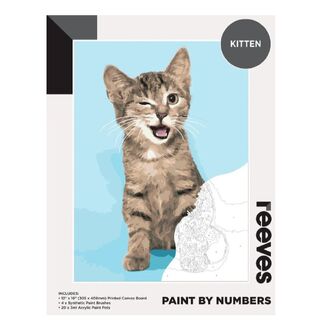 Reeves Artist Acrylic Paint By Numbers - Kitten