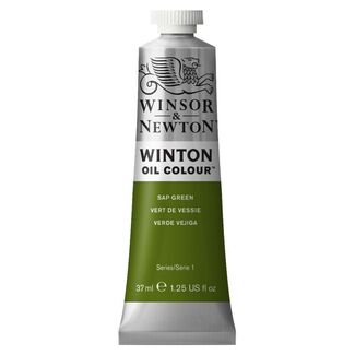 Winsor & Newton Winton Oil Colour 37ml - Sap Green