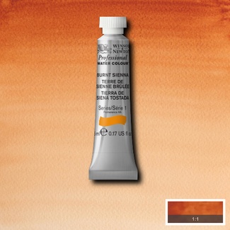 Winsor & Newton Professional Watercolour 5ml S1 - Burnt Sienna