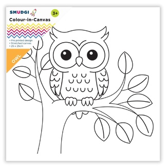 Smudgi Kids Colouring Canvas 25 x 25cm - Owl