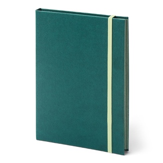 Fabriano Leporello Cromia Journal 11.5 x 16 cm 220gsm 20 Sheets Light Green