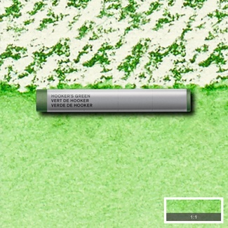 *Winsor & Newton Professional Water Colour Stick - S1 Hooker's Green311