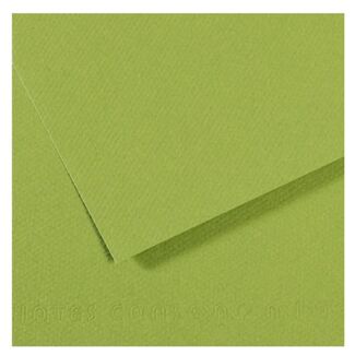 Canson Mi-Teintes Pastel Paper A4 160gsm - Green