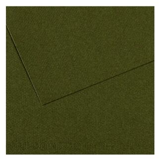 Canson Mi-Teintes Pastel Paper A4 160gsm - Ivy