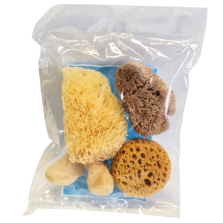 Sea Sponge Craft Pack