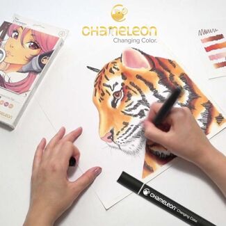 Chameleon Pen Can Draw In Different Color Tones