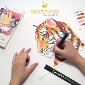 The Chameleon Pen produces multiple color tones